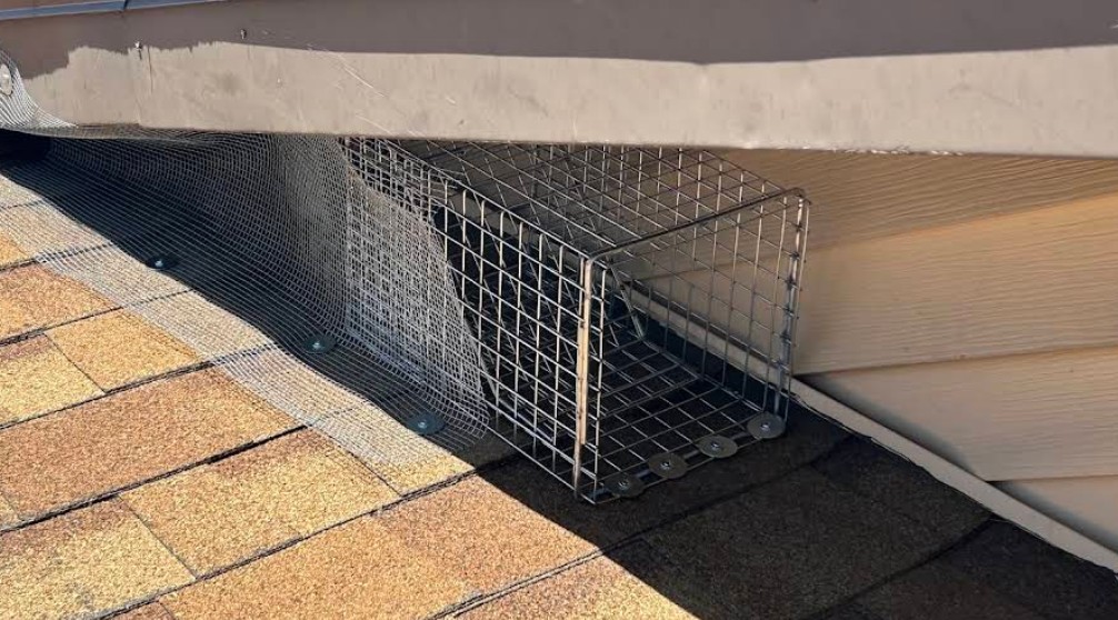 rodent trap placed on sacramento home roof