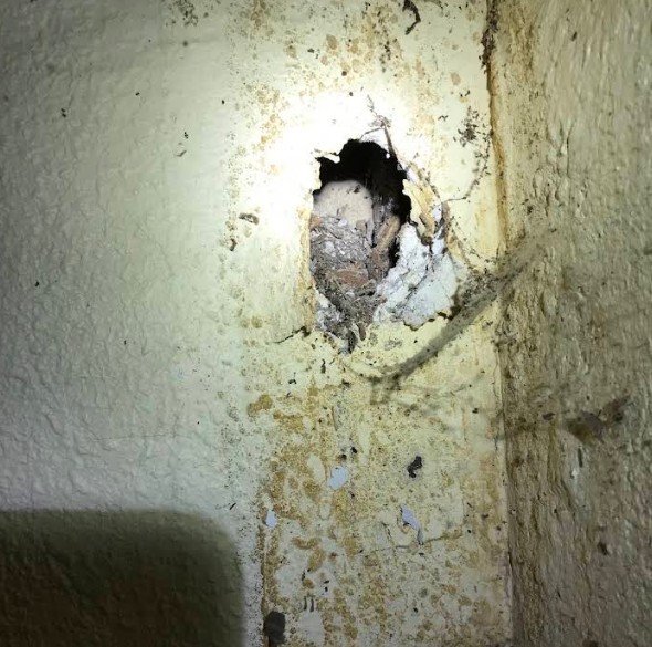 hole created by rats in sacramento home